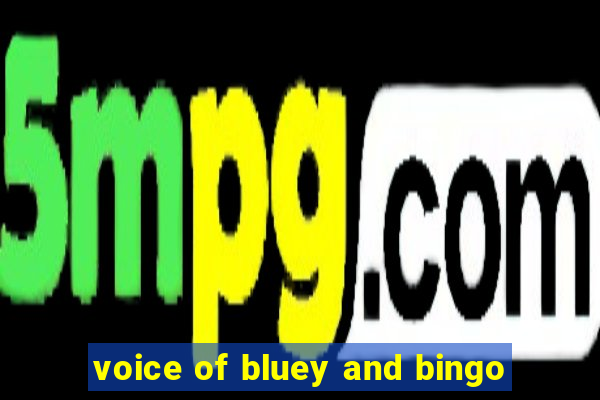 voice of bluey and bingo