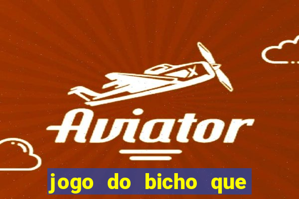 jogo do bicho que da dinheiro