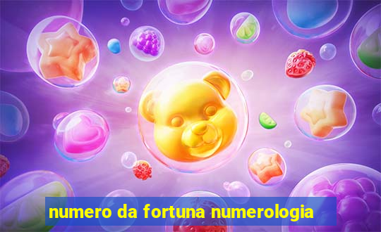 numero da fortuna numerologia