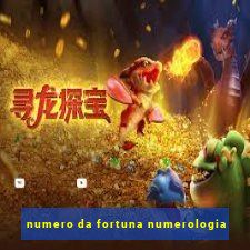 numero da fortuna numerologia