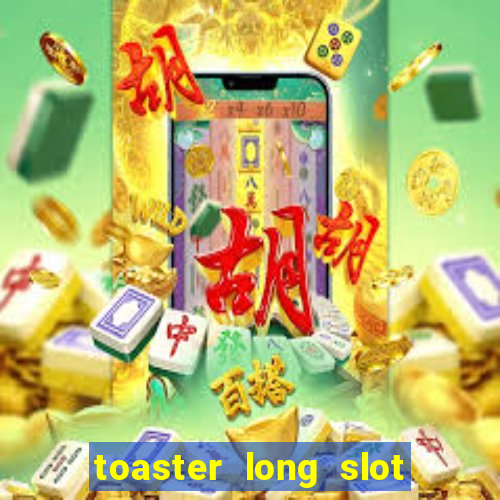 toaster long slot 2 slice