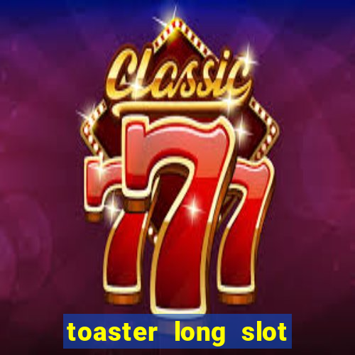 toaster long slot 2 slice