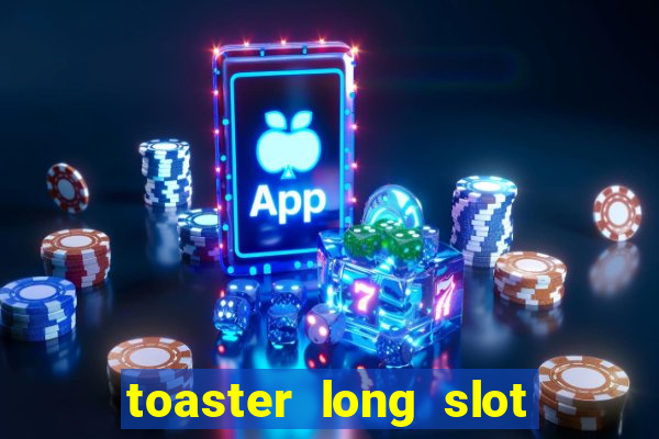 toaster long slot 2 slice