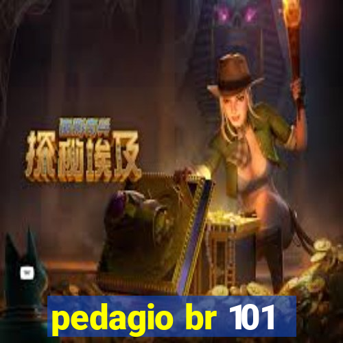 pedagio br 101