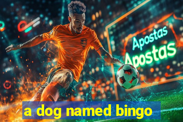 a dog named bingo