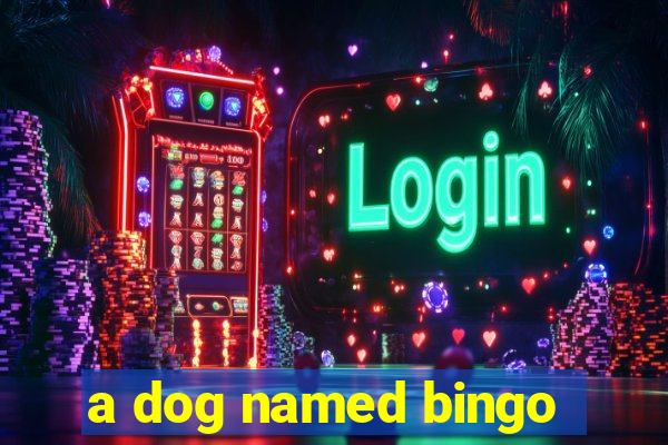 a dog named bingo