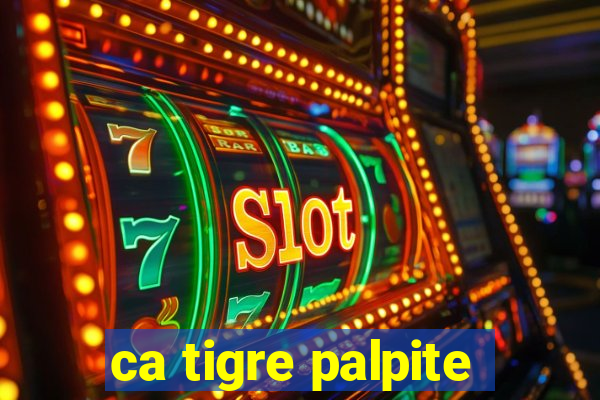 ca tigre palpite