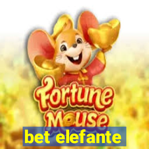 bet elefante