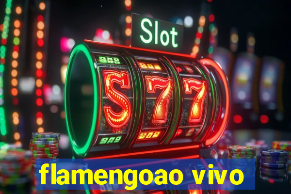 flamengoao vivo