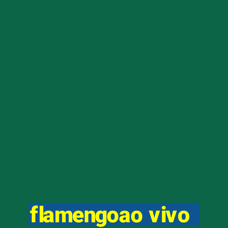 flamengoao vivo