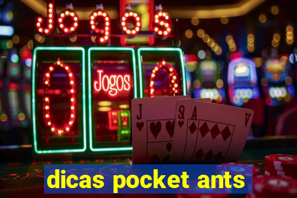 dicas pocket ants