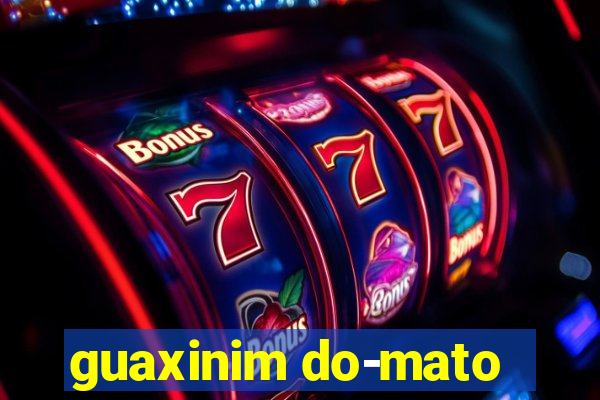 guaxinim do-mato