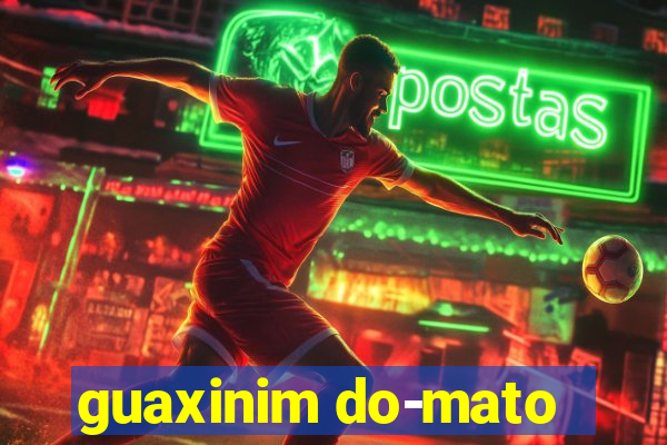 guaxinim do-mato