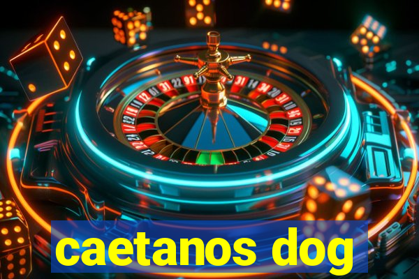 caetanos dog