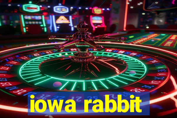 iowa rabbit