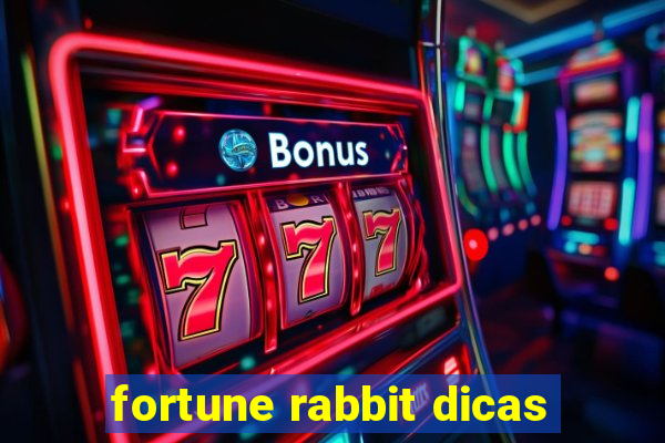 fortune rabbit dicas