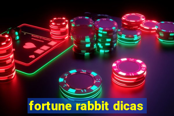 fortune rabbit dicas