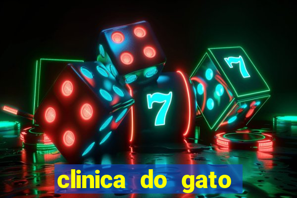 clinica do gato porto alegre