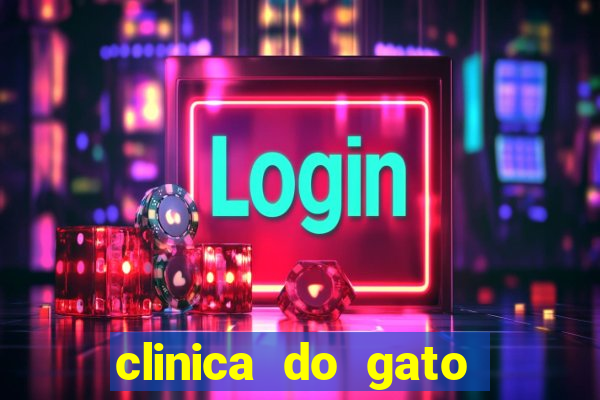 clinica do gato porto alegre