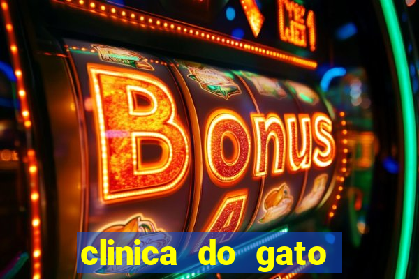 clinica do gato porto alegre