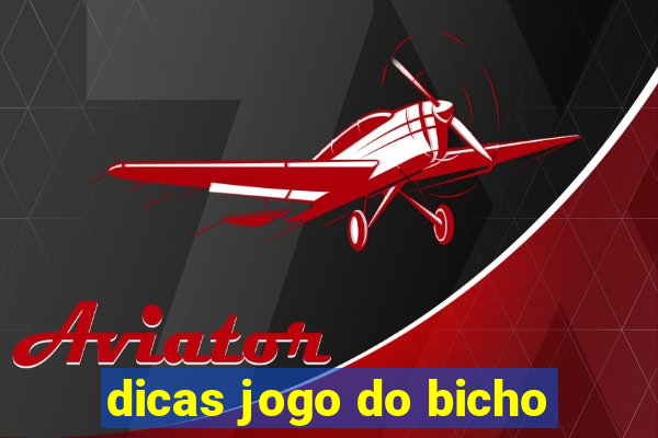 dicas jogo do bicho