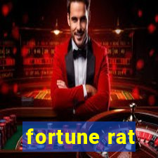 fortune rat