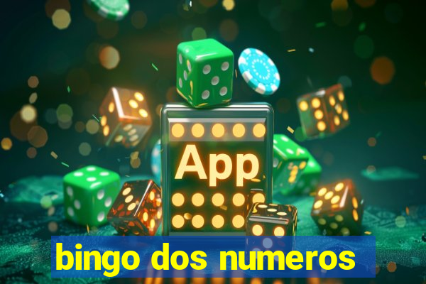 bingo dos numeros