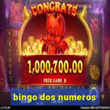 bingo dos numeros