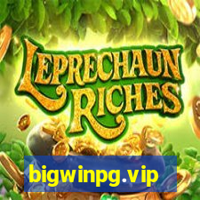 bigwinpg.vip