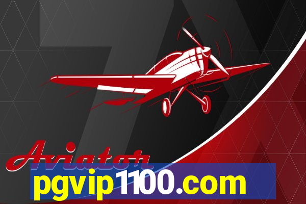 pgvip1100.com