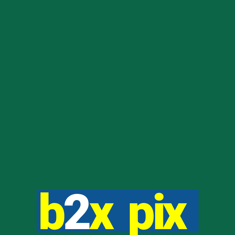 b2x pix