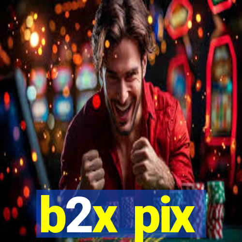 b2x pix