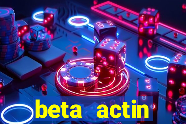 beta actin molecular weight