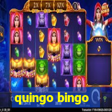 quingo bingo