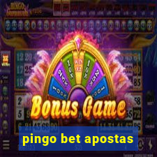 pingo bet apostas