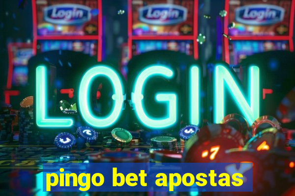 pingo bet apostas