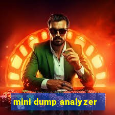 mini dump analyzer