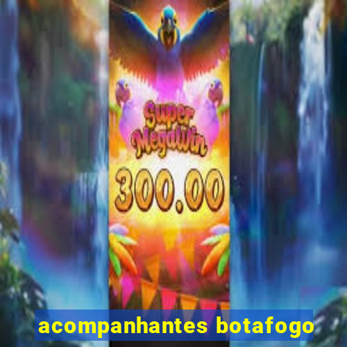 acompanhantes botafogo