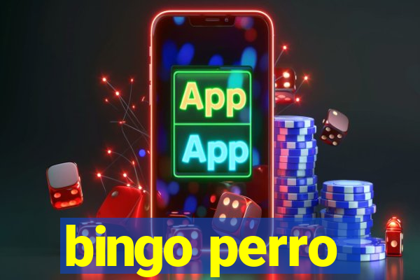 bingo perro