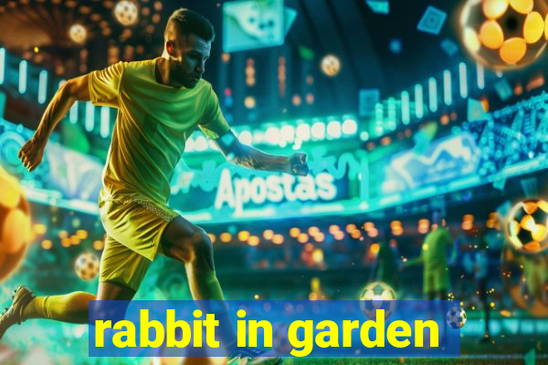 rabbit in garden