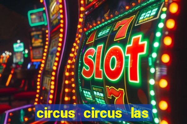 circus circus las vegas casino