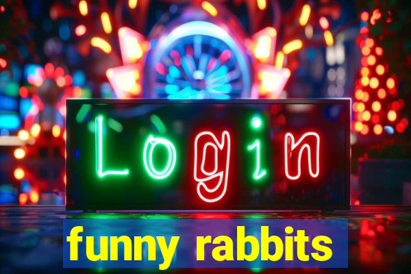 funny rabbits