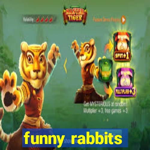 funny rabbits