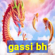 gassi bh