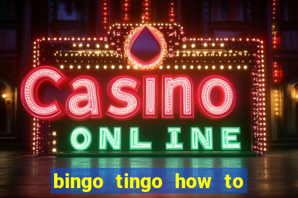 bingo tingo how to use canva