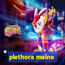 plethora maine