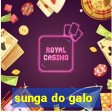 sunga do galo