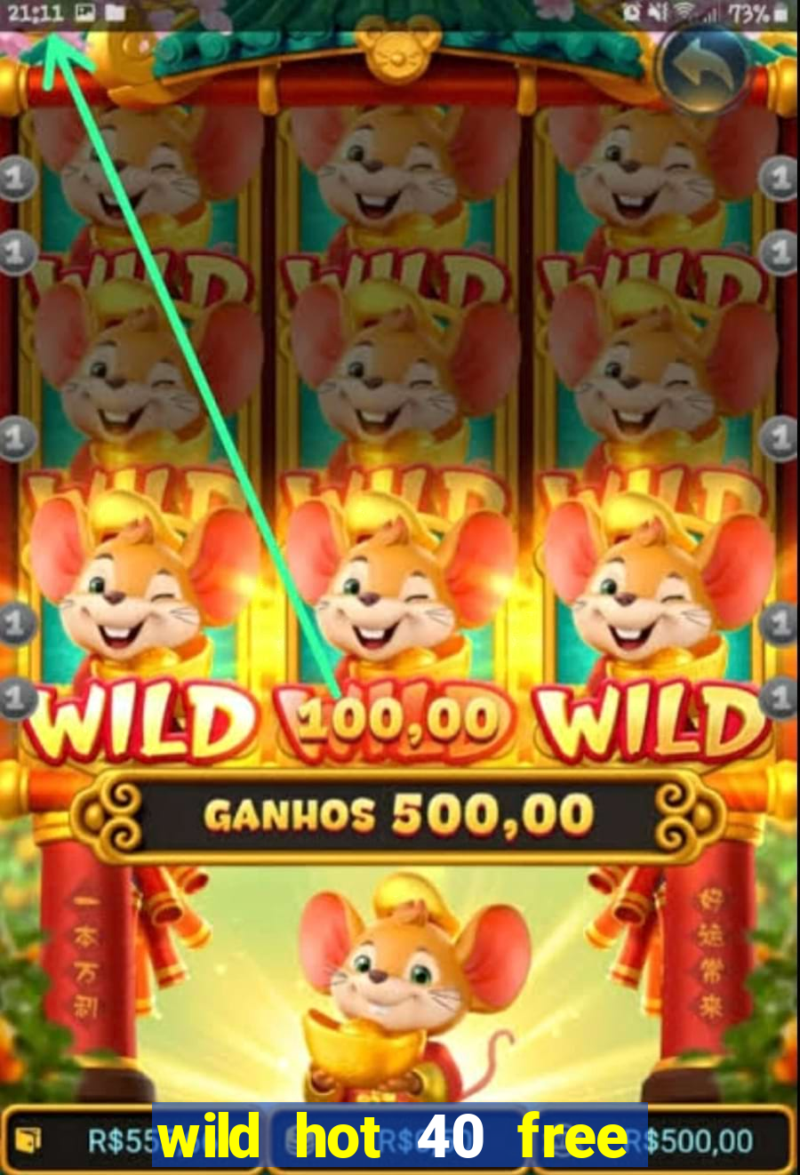 wild hot 40 free spins slot