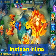 instaan么nimo