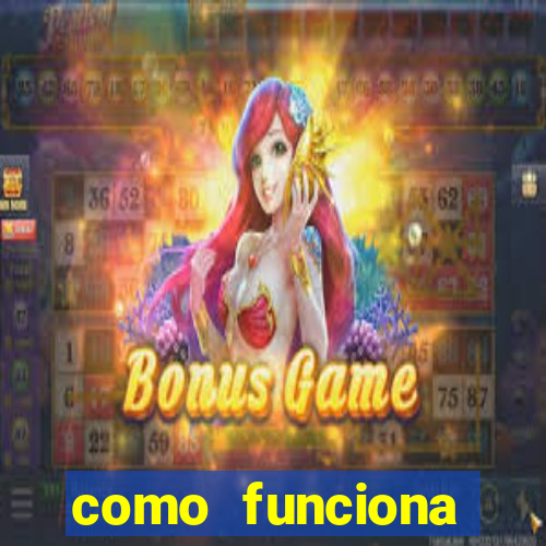 como funciona cartela de bingo